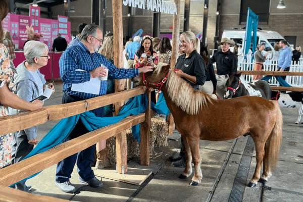 Michigan Humane’s 34th Annual Purrfect Bow Wow Brunch, Eastern Market, Detroit, MI. Crowd petting a pony