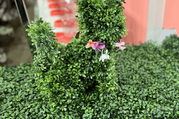 Michigan Humane at Eastern Market — topiary and floral arrangements