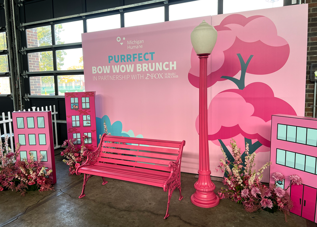 Michigan Humane at Eastern Market, pink decor, scenic elements, custom decor, furniture