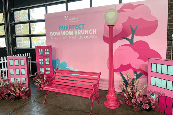Michigan Humane at Eastern Market, pink decor, scenic elements, custom decor, furniture