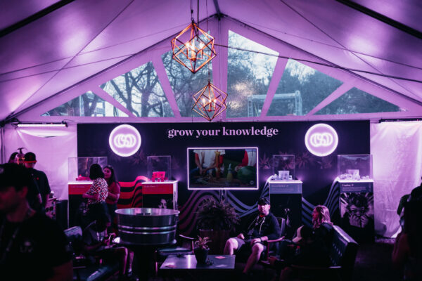 LIV 420 Festival — custom lighting, decor and furniture