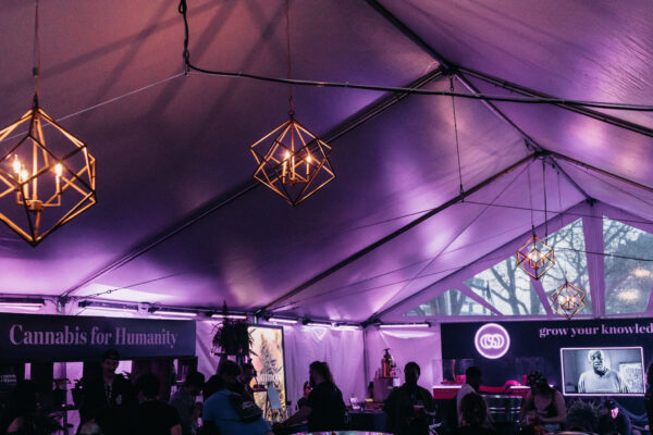 Liv 420 Festival — custom lighting